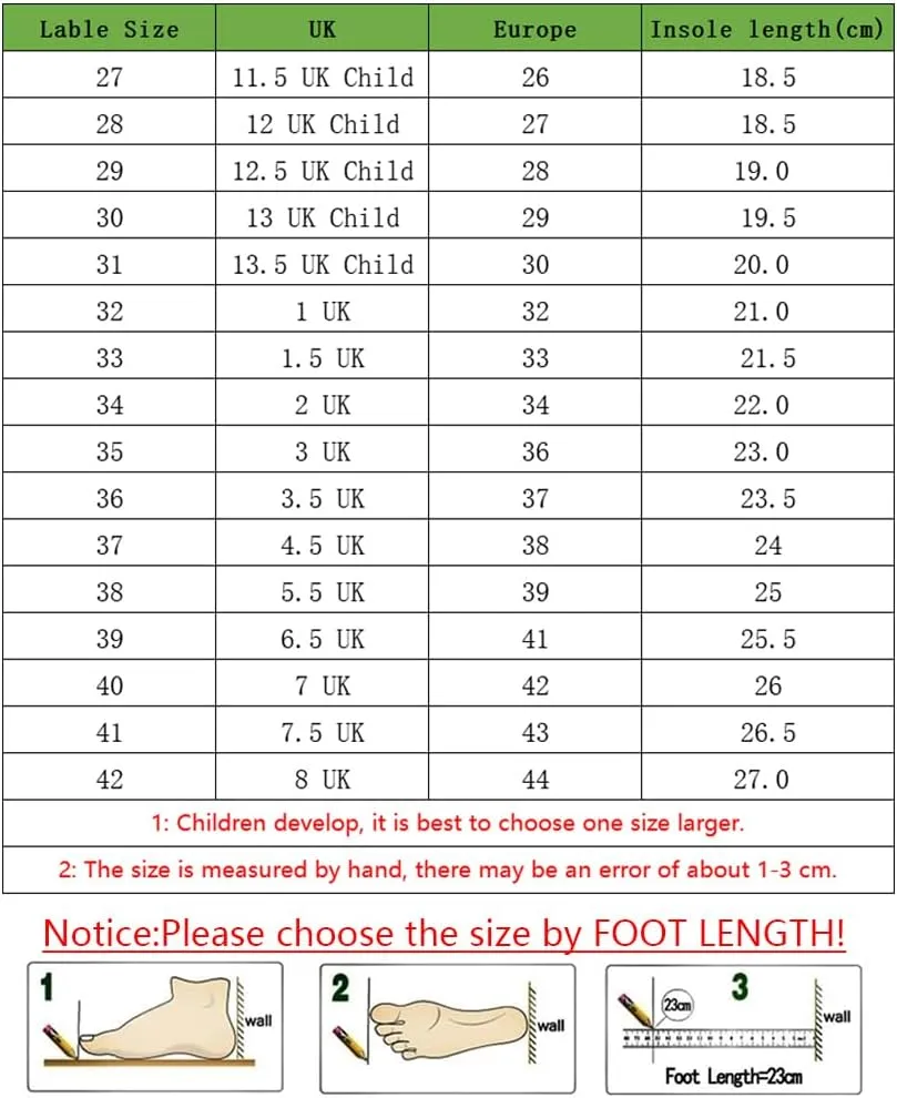 Kids Roller Skate Shoes Roller Sport Sneakers Shoes for Boys Girls with 2-Wheels Outdoor Trainer Retractable Sneakers Shoes for Birthday Children Show Gift